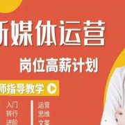 新媒体运营高薪升核培养计划，入门-转行-进阶