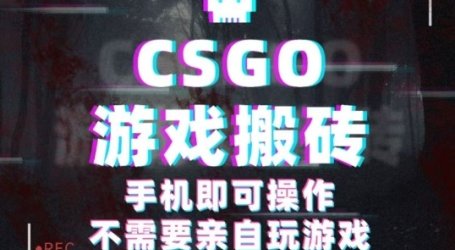 CSGO游戏挂G捡漏,单日扫货5张+,年底小高峰上车可吃肉,手机即可操作,兼职副业创业网创【揭秘】