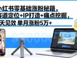 小红书零基础涨粉秘籍,赛道定位+IP打造+痛点挖掘,7天见效 单月涨粉5万+