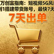 抖音百万创富指南:短视频5G风口教学,从0到1搭建带货账号,最快7天出单