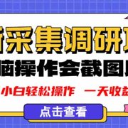新版采集调研项目,截图上传即可,无脑操作,日收益1-2张