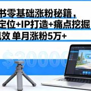 小红书零基础涨粉秘籍,赛道定位+IP打造+痛点挖掘,7天见效 单月涨粉5万+