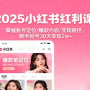 2025小红书红利课:掌握账号定位/爆款内容/变现路径,新手起号30天变现2w+