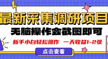 新版采集调研项目,截图上传即可,无脑操作,日收益1-2张