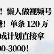 蓝海赛道，懒人做视频号也能躺挣，单条120W赞，分成计划直接拿1.5k，不用拍不用剪