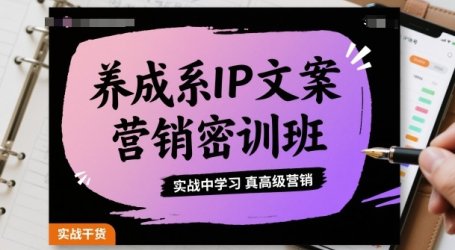养成系IP文案营销密训班,实战中学习真高级营销