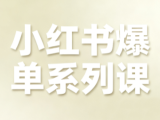 尼采老师·小红书爆单系列课
