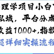 AI+心理学项目,小白可做,变现渠道多【带货,私域,平台分成,收徒】单日收益1k