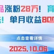 18条作品涨粉28W，育儿赛道新玩法，单月收益8k