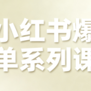 尼采老师·小红书爆单系列课
