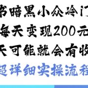 小红书暗黑小众冷门项目每天变现2张当天可能就会有收益