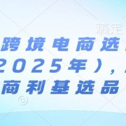 亚马逊跨境电商选品案例(更新2025年10月)，跨境电商利基选品