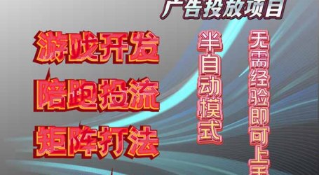 抖音小游戏广告推广项目,2025最新实测落地,单日收益300+