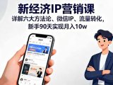 新经济IP营销课:详解六大方法论、微信IP、流量转化,新手90天实现月入10w