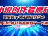 小说创作者搬砖玩法,不限制IP简单无脑 可矩阵无限放大小白也能实现轻…