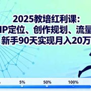 2025教培红利课:详解IP定位、创作规划、流量变现,新手90天实现月入20万