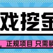 【劲爆】游戏自动掘金项目,日入1k+,正规项目只需躺賺【揭秘】