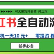 小红书全自动浏览项目，零投资，全程手机去跑，单账号一天10米+，可无限矩阵去做【揭秘】