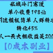 私域冷门赛道:单个收费198米引流模板简单人群精准转化45%单人一天大概收益是1k+
