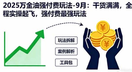 2025万金油强付费玩法-9月:干货满满,全程实操起飞,强付费最强玩法