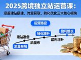 2025跨境独立站运营课：涵盖建站搭建、流量获取、转化优化三大核心模块