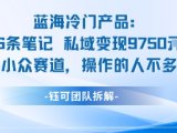 蓝海项目：16条笔记私域变现9750米小众赛道操作的人不多