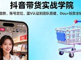 抖音带货实战学院:从平台趋势/账号定位/蓝V认证到团队搭建/Dou+投放全链路