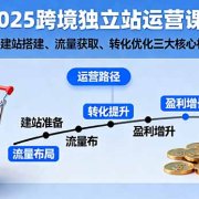 2025跨境独立站运营课：涵盖建站搭建、流量获取、转化优化三大核心模块