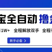 淘宝菜鸟全自动撸金豆,轻松月入1W+,全程手机去跑,操作简单【揭秘】