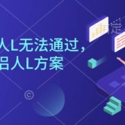 直播伴侣过人L无法通过,电脑直播伴侣人L方案,自测