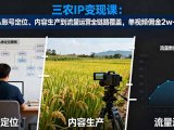三农IP变现课：从账号定位、内容生产到流量运营全链路覆盖，单视频佣金2w+