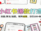 小红书爆款打造：流量/算法/选题，矩阵运营，日引100+粉