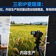 三农IP变现课：从账号定位、内容生产到流量运营全链路覆盖，单视频佣金2w+