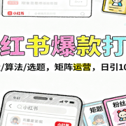 小红书爆款打造：流量/算法/选题，矩阵运营，日引100+粉