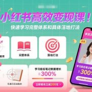 小红书高效变现课，快速学习小红书完整体系和具体落地打法