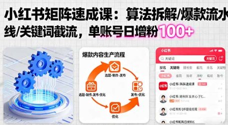小红书矩阵起号速成课：算法拆解/爆款流水线/关键词截流 单账号日增粉100+