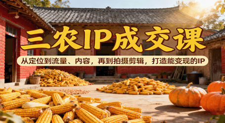 三农IP成交课:从定位到流量、内容,再到拍摄剪辑,打造能变现的IP