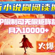 小说阅读搬砖单机每天收益200-400+ 无IP限制可无限矩阵放大 —