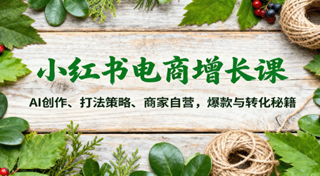 小红书电商增长课:AI创作、打法策略、商家自营,爆款与转化秘籍