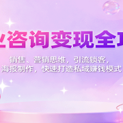 商业咨询变现全攻略：销售、营销思维，引流锁客，海报制作，快速打造私域赚钱模式