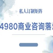 4980商业咨询师落地课程-ip运营高客单教程