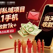 暴利私域项目1人1手机，当天收款1k+，需求人群占比高，当天就能见到钱