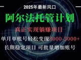 阿尔法托管计划 单账号月入3000-5000,长期稳定项目,新手小白轻松上手