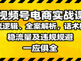 视频号电商实战课:推流逻辑、全案解析,话术框架,稳流量及违规规避等