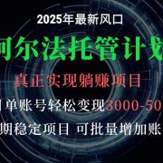 阿尔法托管计划 单账号月入3000-5000,长期稳定项目,新手小白轻松上手