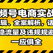 视频号电商实战课:推流逻辑、全案解析,话术框架,稳流量及违规规避等
