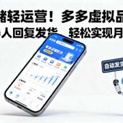 零仓储轻运营!多多虚拟品类,用机器人回复发货,轻松实现月入 1-5 W