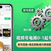 视频号电商0-1起号全案课：账号搭建+推流逻辑+微付费调整，等实操体系