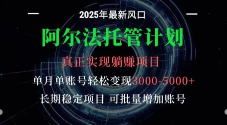 阿尔法托管计划 单账号月入3000-5000,长期稳定项目,新手小白轻松上手