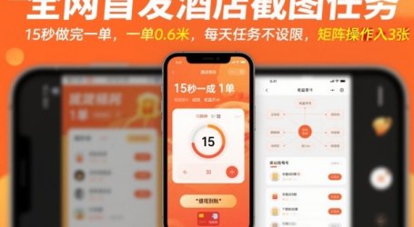 全网首发酒店截图任务,15秒做完一单,一单0.6米,每天任务不设限,矩阵操作日入3张【揭秘】